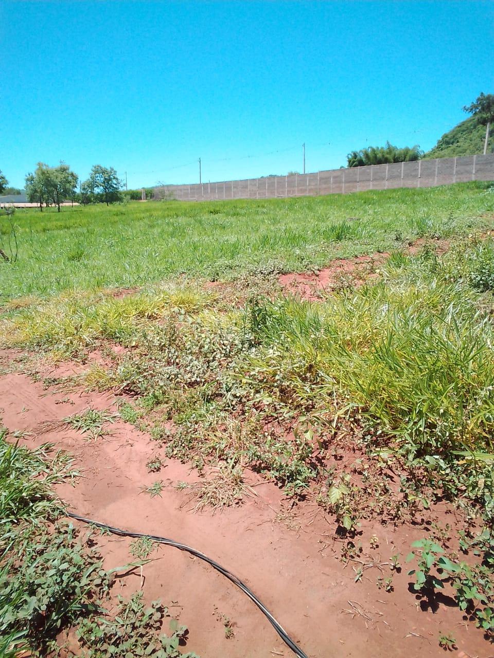 Terreno à venda - ,Rifaina