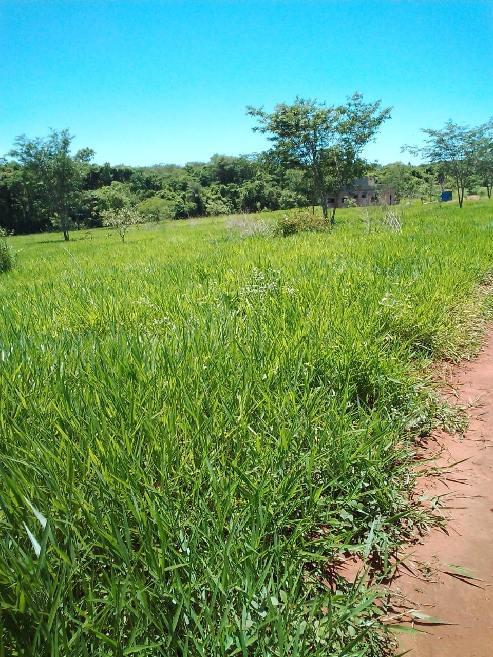 Terreno à venda - ,Rifaina