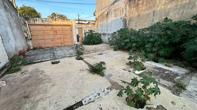 Terreno à venda - Parque do Horto,Franca
